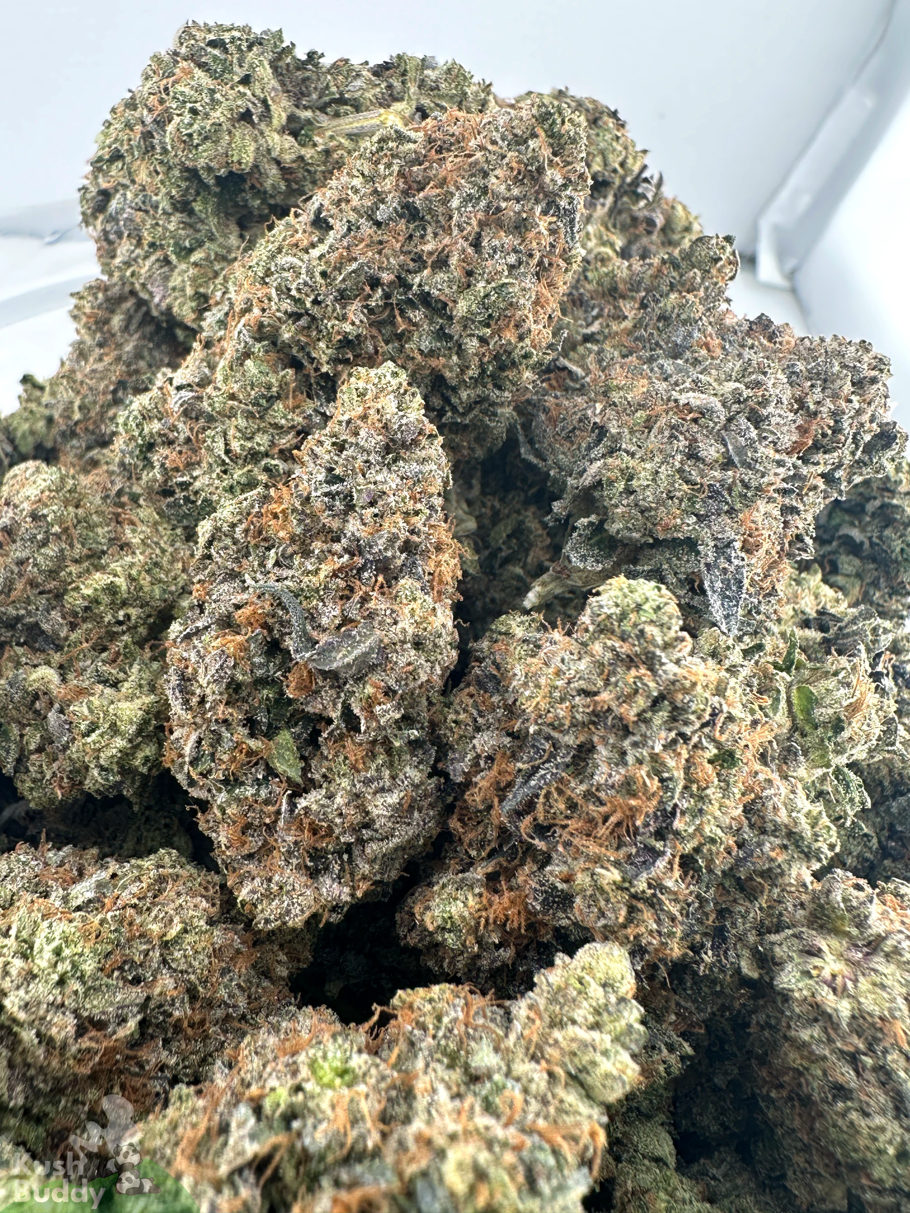 Black Series - Astroman's Pink Goo (LSO) - Image 9