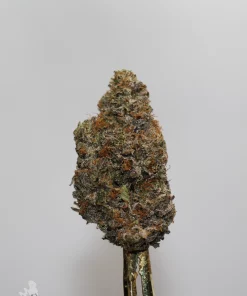 Black Series - Astroman's Pink Goo (LSO)