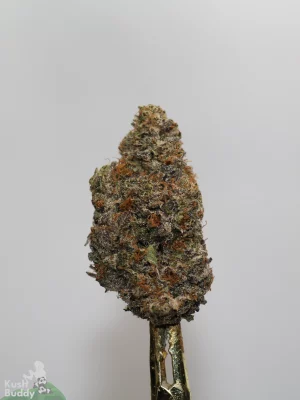 Black Series - Astroman's Pink Goo (LSO)