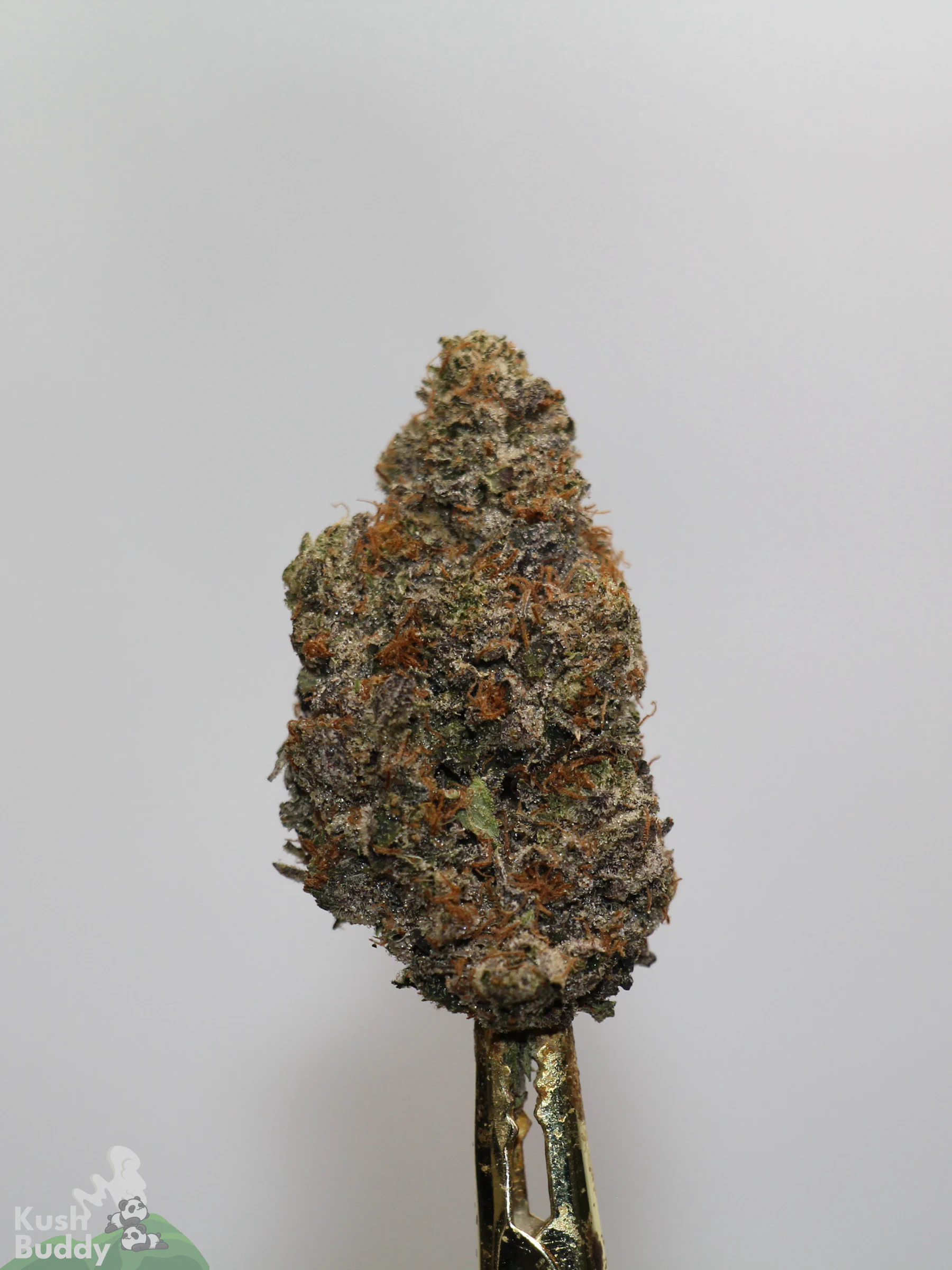 Black Series - Astroman's Pink Goo (LSO)