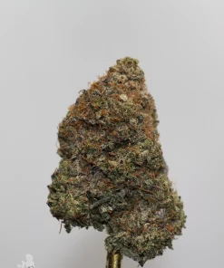 Black Series - Astroman's Pink Goo (LSO) - Image 2
