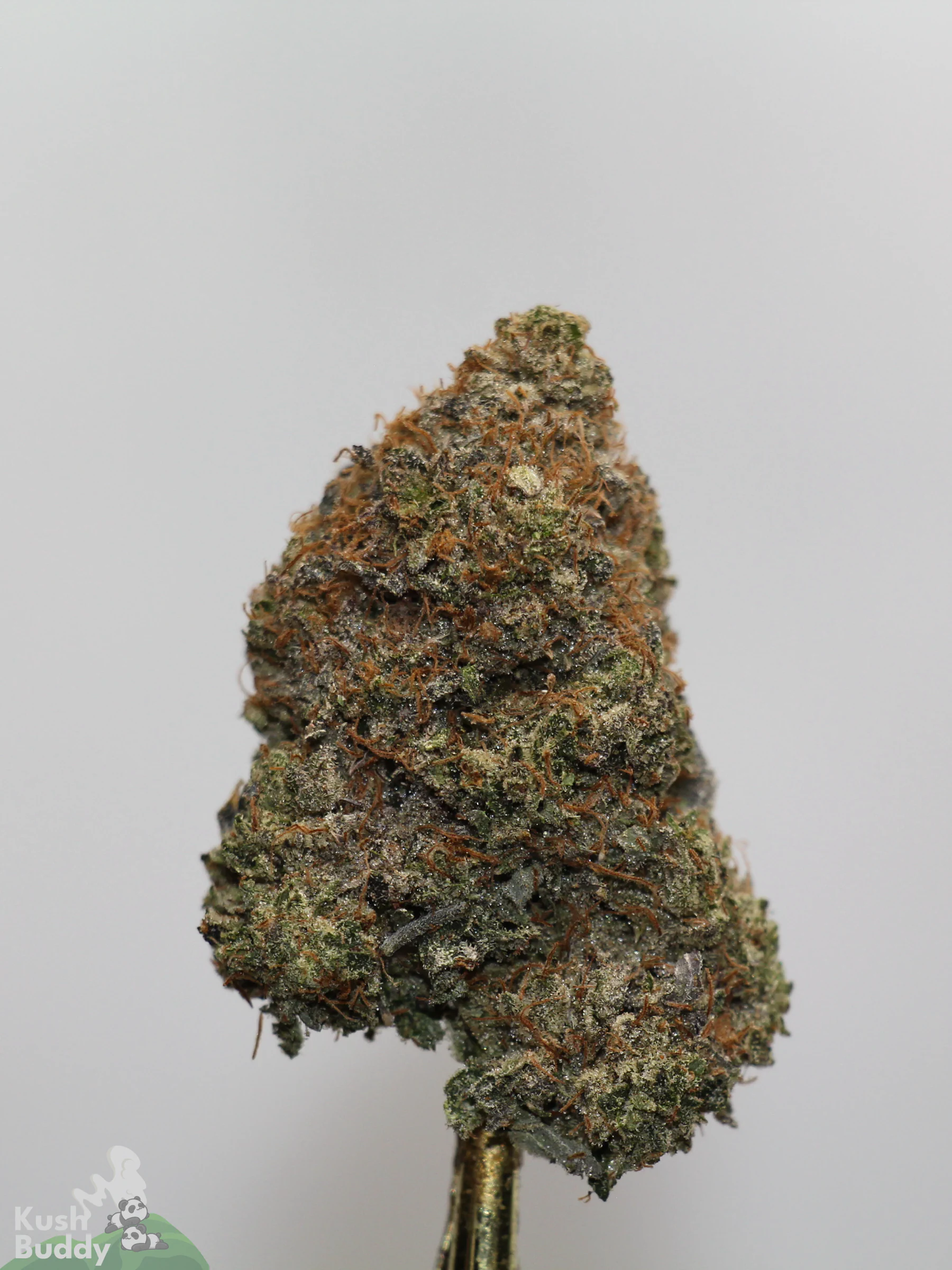 Black Series - Astroman's Pink Goo (LSO) - Image 2