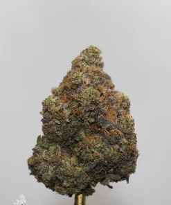 Black Series - Astroman's Pink Goo (LSO) - Image 3
