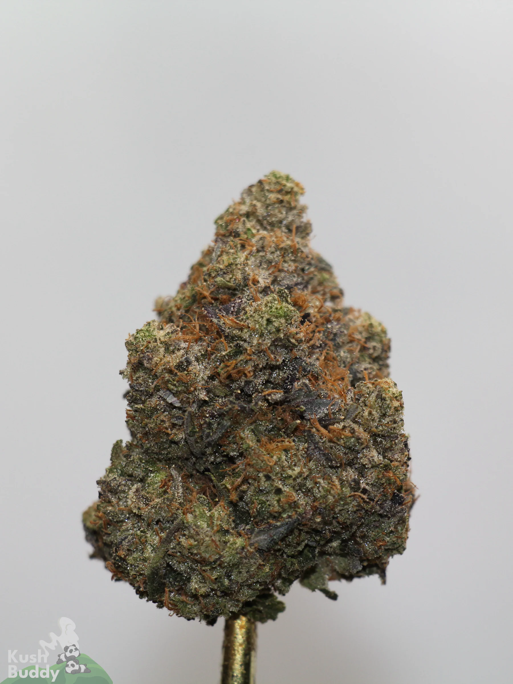Black Series - Astroman's Pink Goo (LSO) - Image 3