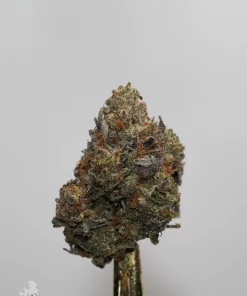 Black Series - Astroman's Pink Goo (LSO) - Image 4