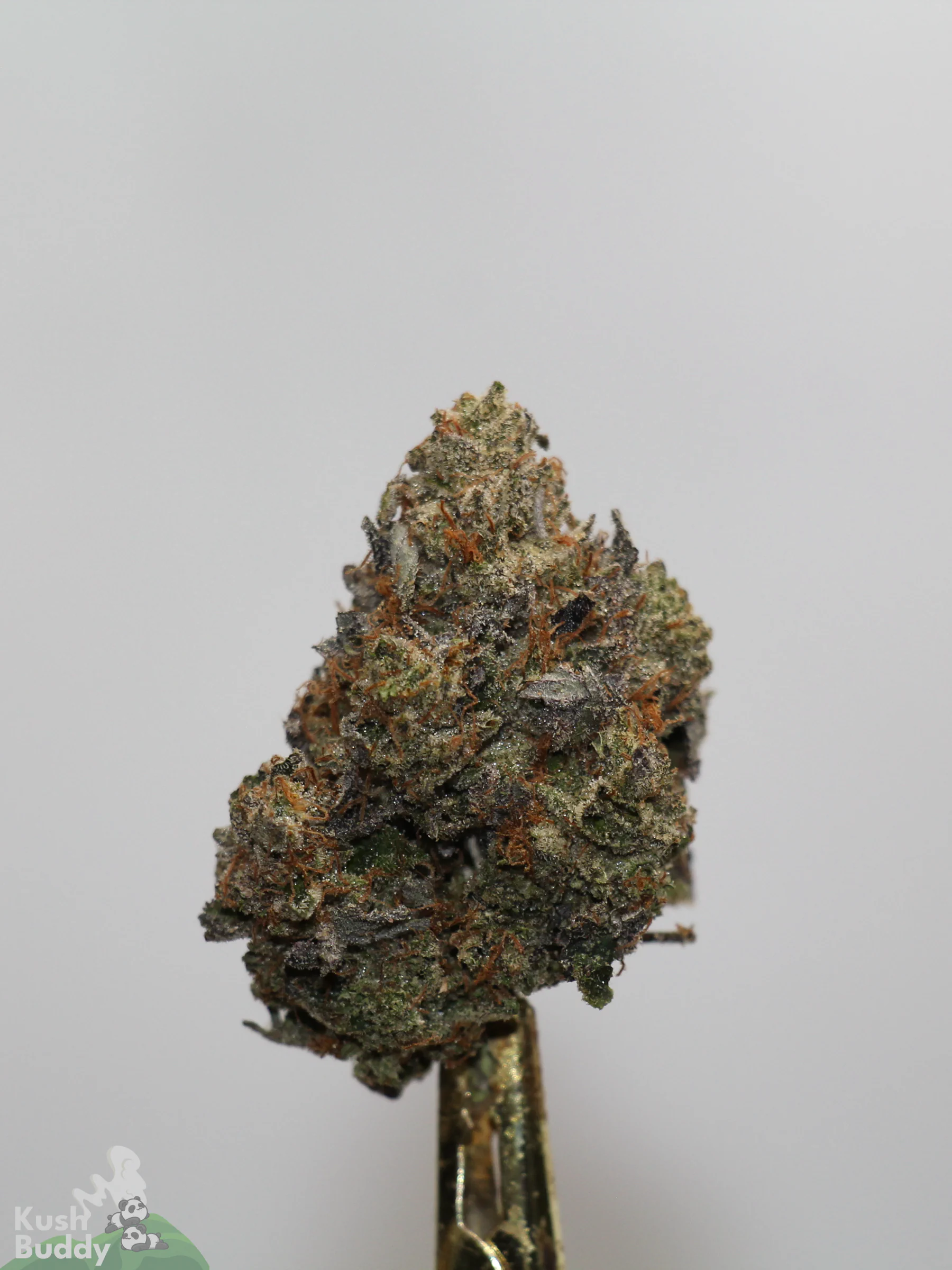 Black Series - Astroman's Pink Goo (LSO) - Image 4