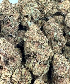 Banana Haze flower shown as a group of buds in a close-up view