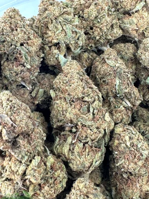 Banana Haze flower shown as a group of buds in a close-up view