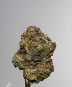 Banana Haze single green bud with orange pistils and visible trichomes, view 1