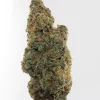 Banana Punch Oct 2026 1