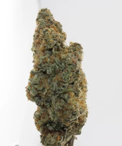 Black Series - Banana Punch