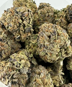 Comatose OG Oct 2026 2