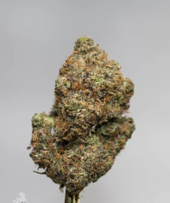 (AAAA - Bulk) Death Bubba - Image 6