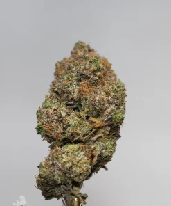 (AAAA - Bulk) Death Bubba - Image 7