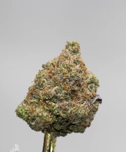 (AAAA - Bulk) Death Bubba - Image 8