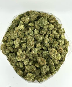(AAA+ - Bulk) Ed's Not Here XO