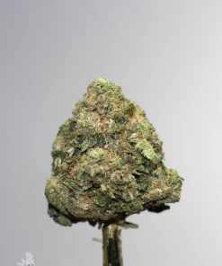 Gastro Pop Ultra AAAA- cannabis flower product photo