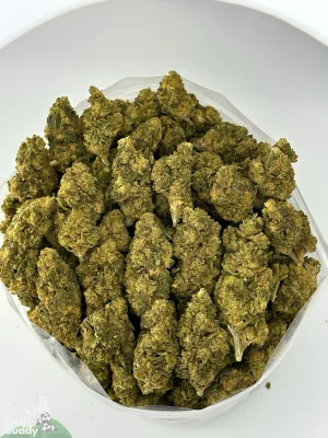 Ghost Train Haze flower shown as a group of buds in a bowl