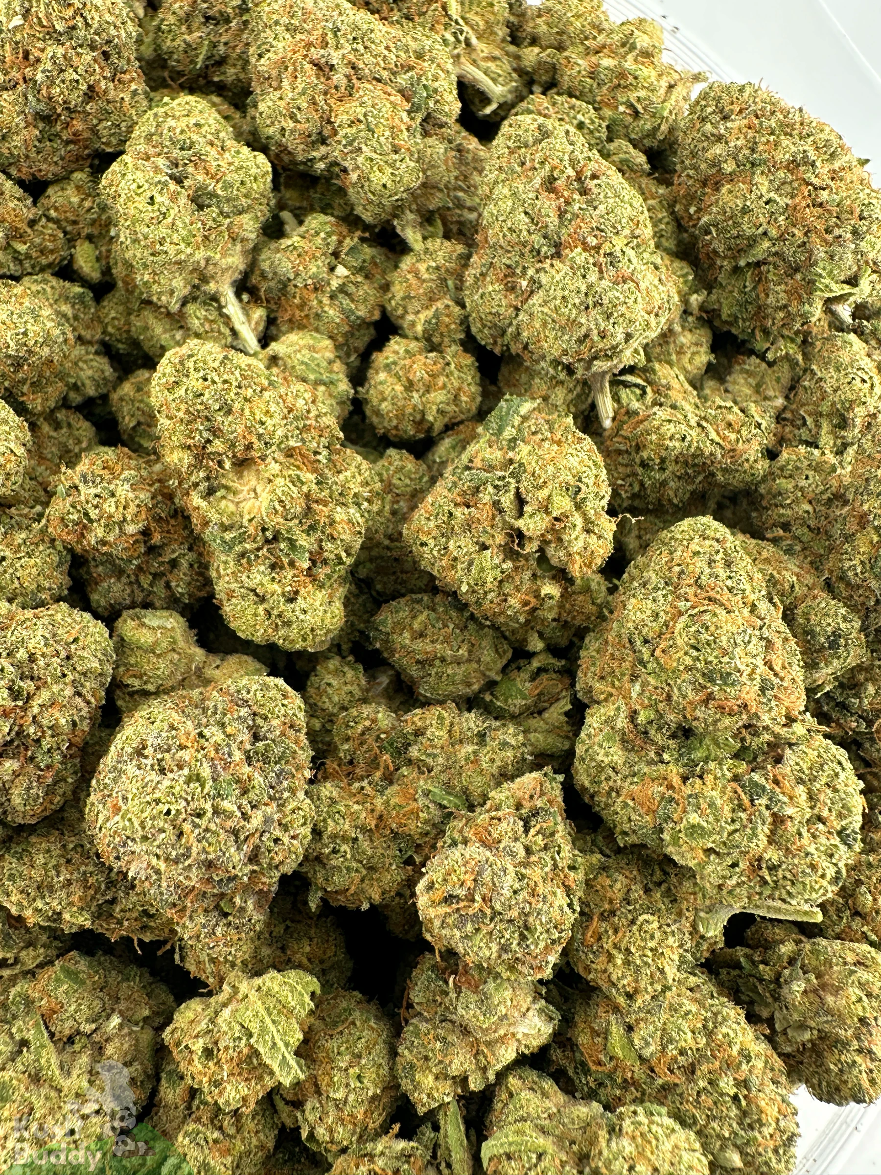 (AAAA- - Bulk) God's Green Crack - Image 2