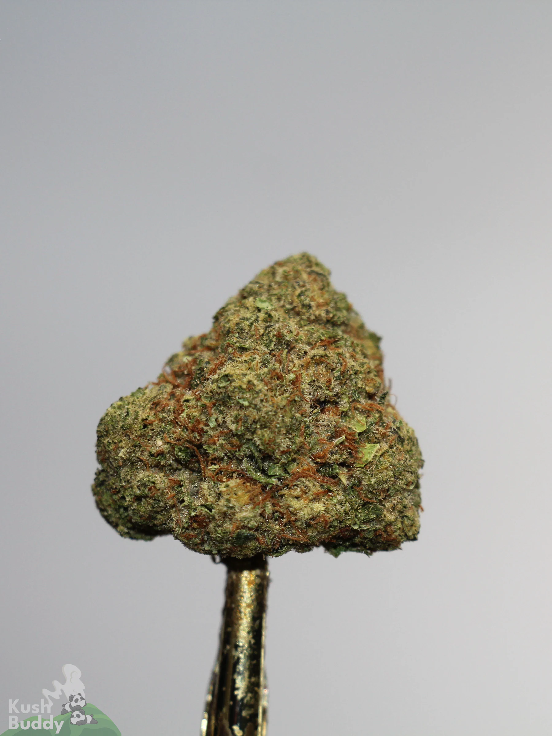 (AAAA- - Bulk) God's Green Crack - Image 3