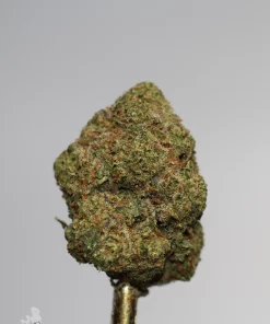 (AAAA- - Bulk) God's Green Crack - Image 4