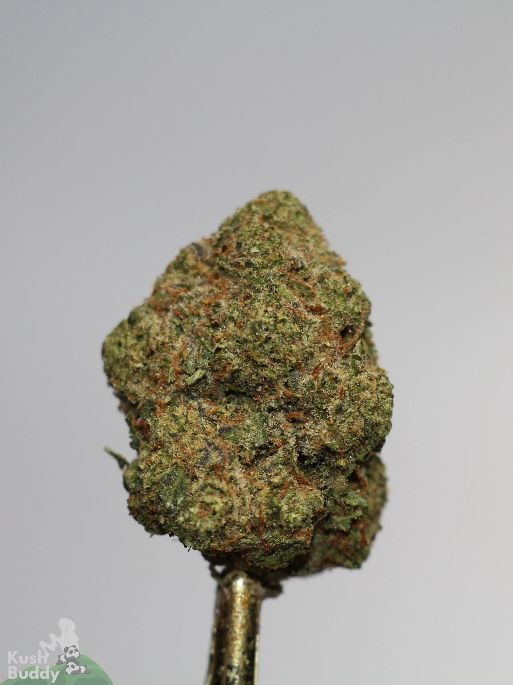 (AAAA- - Bulk) God's Green Crack - Image 4