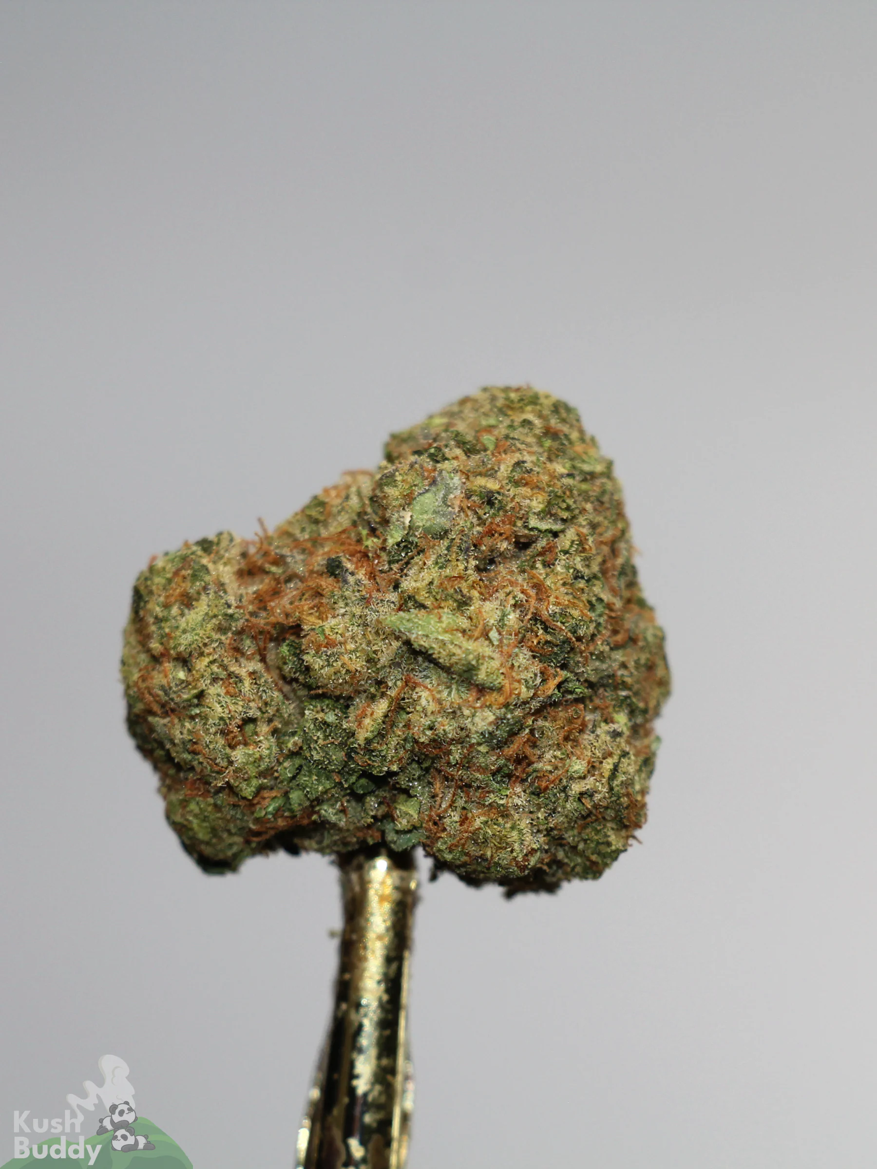(AAAA- - Bulk) God's Green Crack - Image 5