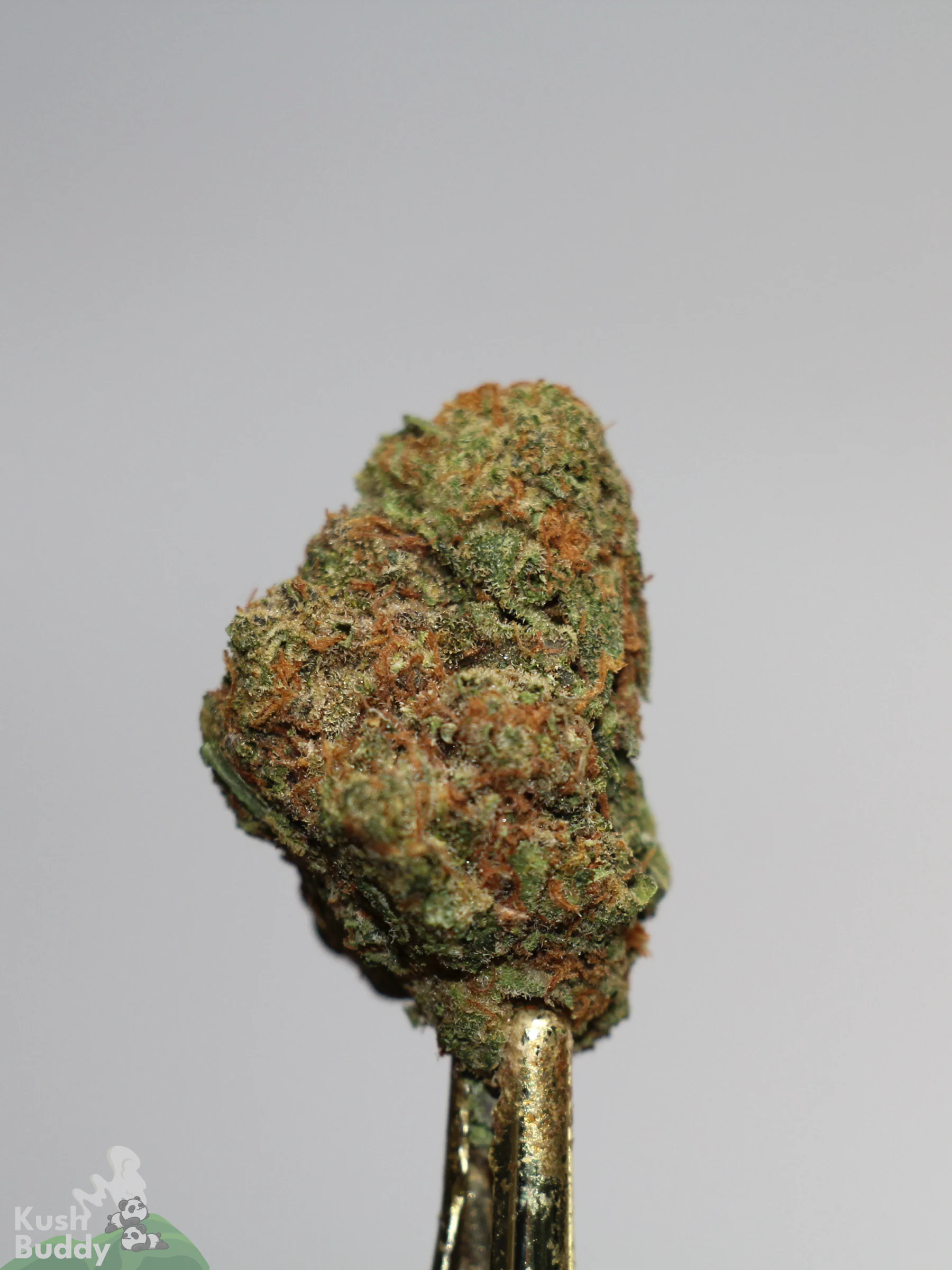 (AAAA- - Bulk) God's Green Crack - Image 6