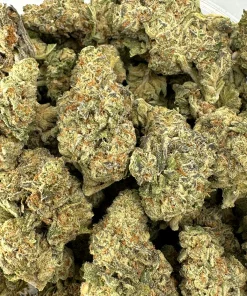 Granddaddy Purple small buds photographed together in an open bag