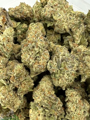 Granddaddy Purple small buds photographed together in an open bag