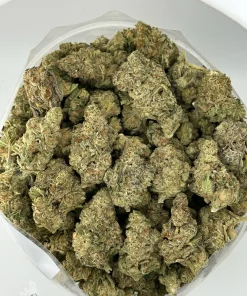 Granddaddy Purple flower photographed together from above