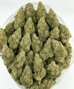 Grape Milkshake flower shown as a group of buds in a bowl