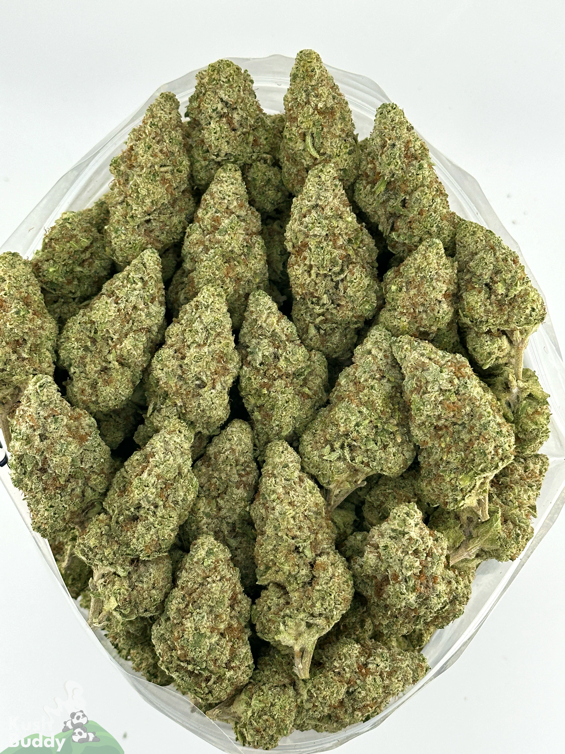 Grape Milkshake flower shown as a group of buds in a bowl