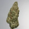 Grape Milkshake single green bud with orange pistils and visible trichomes, view 1