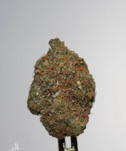 Black Series - Greasy Pink