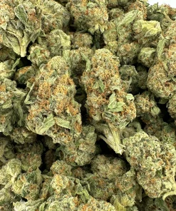 Green Crack small buds photographed together in an open bag