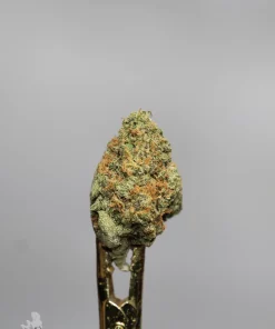 Green Crack flower close-up showing orange pistils and green colouring