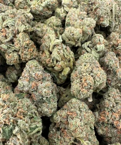 Hawaiian Punch small buds photographed together in an open bag