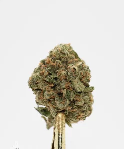Black Series - Hawaiian Punch