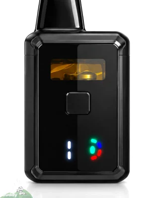 House Vapes 2g black disposable pen with a visible oil window and indicator lights, front view on a light background