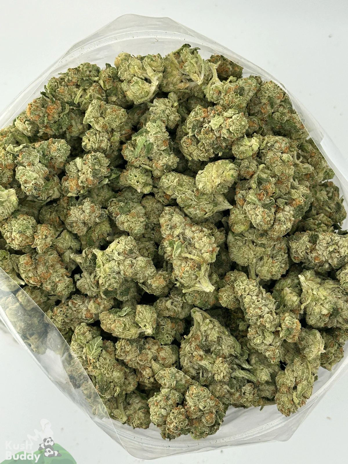 Overhead view of Ice Cream Cake buds in an open bag