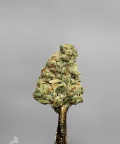 Ice Cream Cake single bud showing its trichome coating