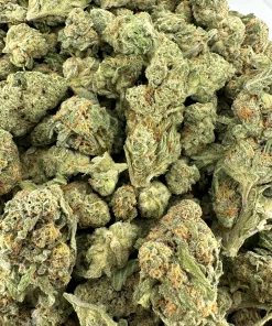 Jack Herer small buds photographed together in an open bag