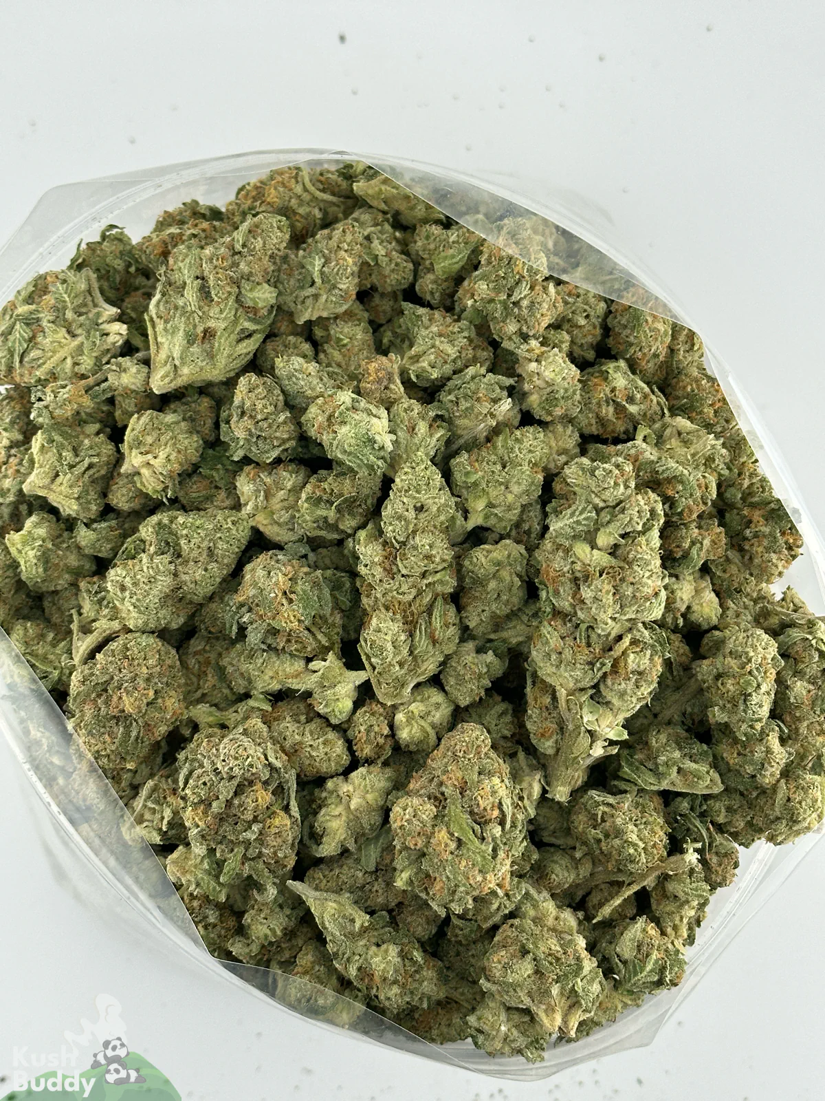 Overhead view of Jack Herer buds in an open bag