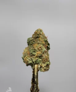 Side view of a Jack Herer bud on a metal holder