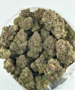 Black Series - Bulk - Mike Tyson OG (LSO)