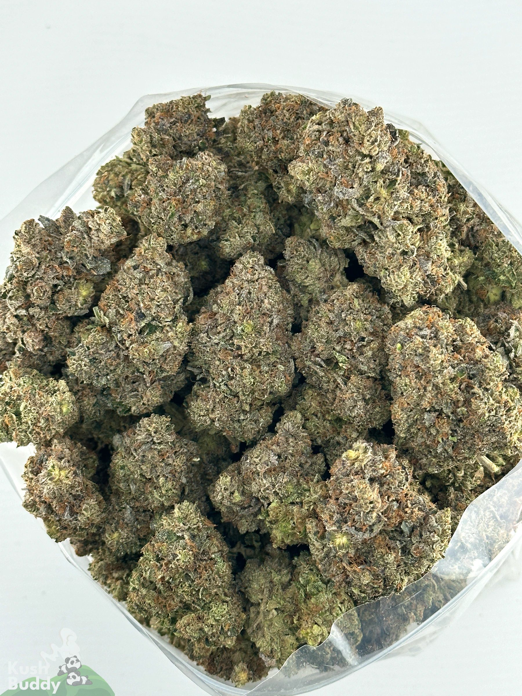 Black Series - Mike Tyson OG (LSO) - Image 5