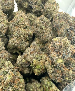 Black Series - Mike Tyson OG (LSO) - Image 6