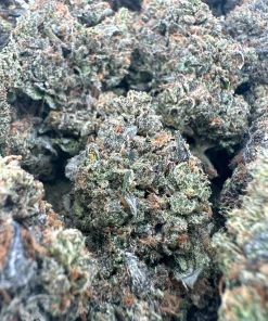 Black Series - Mike Tyson OG (LSO) - Image 7