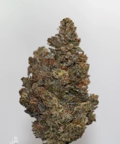 Black Series - Mike Tyson OG (LSO)